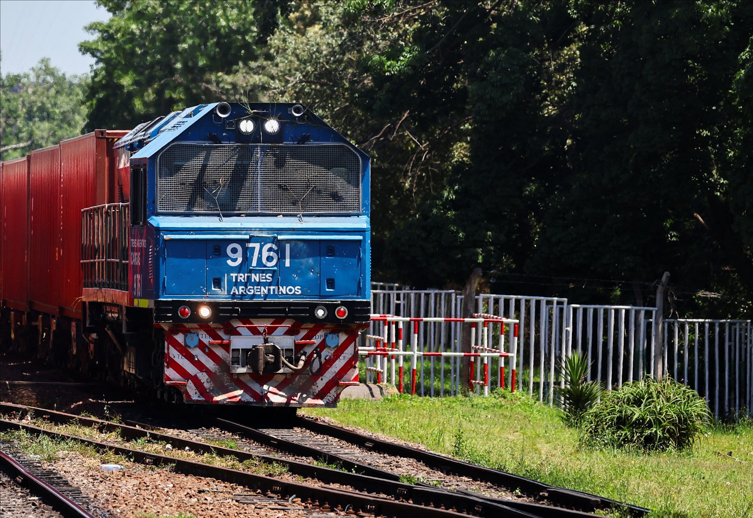 Privatización de Belgrano Cargas: el Gobierno espera obras por al menos US$800 millones y abre la operación a distintas empresas. (Foto: REUTERS/Agustin Marcarian).