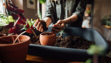 El poder terapéutico de los hobbies