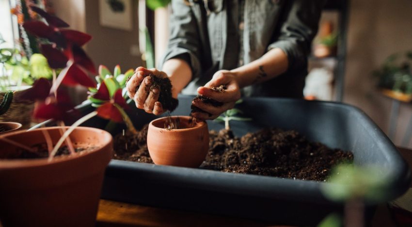 El poder terapéutico de los hobbies