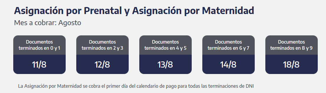 Asignación por Prenatal y Maternidad. (Foto: ANSES)