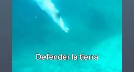 El mensaje de Lisandro Martínez sobre la ley de tierras: “¡Las tierras Argentinas no se venden!”