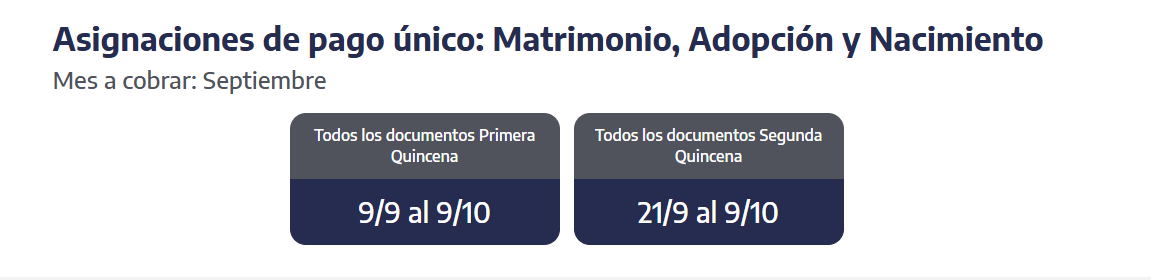 Quiénes reciben hoy las asignaciones de pago único (Foto: ANSES)
