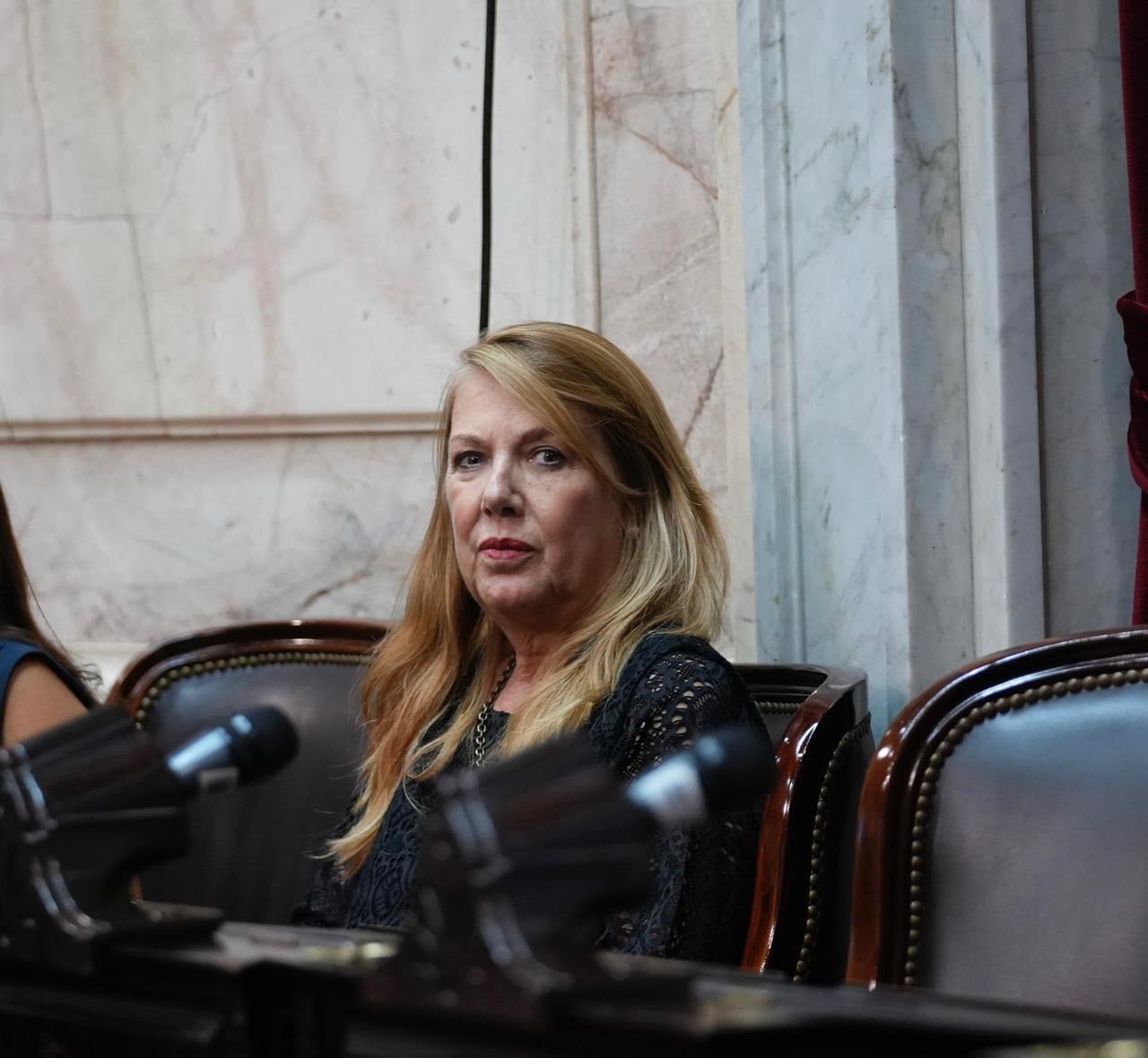Alejandra Torres, diputada nacional de Provincias Unidas. (Foto: Cámara de Diputados).