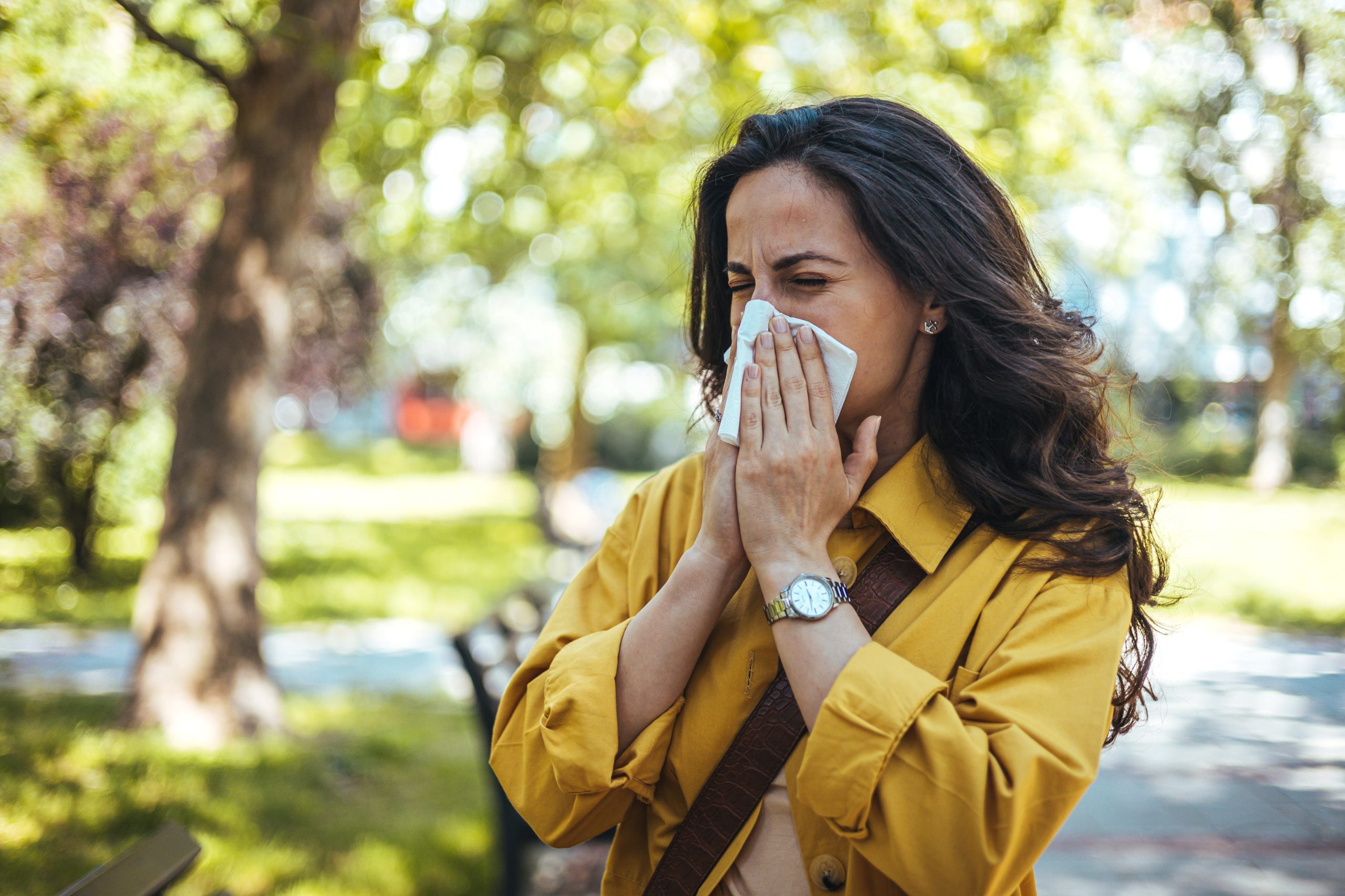Por qué el polen puede generar síntomas dentro de la casa. (Foto: Adobe Stock)