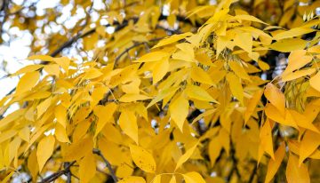 Oficial y confirmado: qué día inicia el otoño y cambia la hora en Estados Unidos