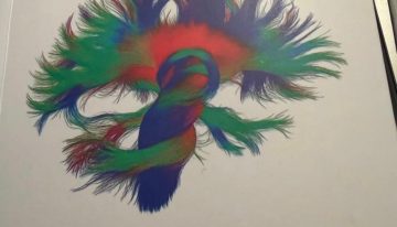 Neurociencias y memoria: un puente entre la ciencia y la compasión