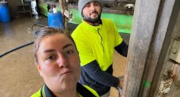 “No sabía distinguir un pollo”: la santafesina que pasó de atender un kiosco a ordeñar 700 vacas en Australia