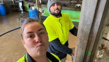 “No sabía distinguir un pollo”: la santafesina que pasó de atender un kiosco a ordeñar 700 vacas en Australia