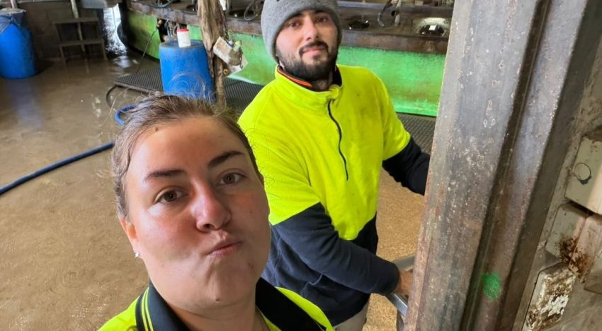 “No sabía distinguir un pollo”: la santafesina que pasó de atender un kiosco a ordeñar 700 vacas en Australia