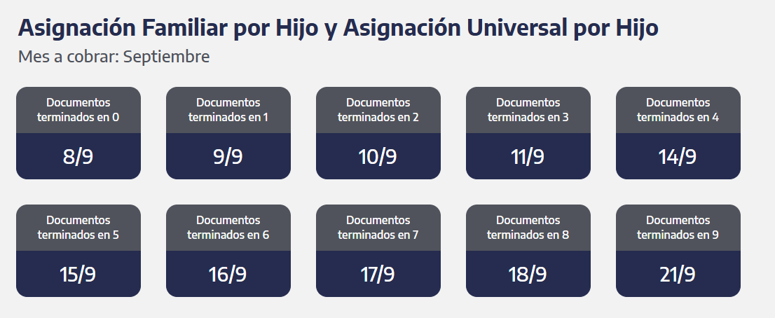 Quiénes cobran la AUH y SUAF (Captura: ANSES)