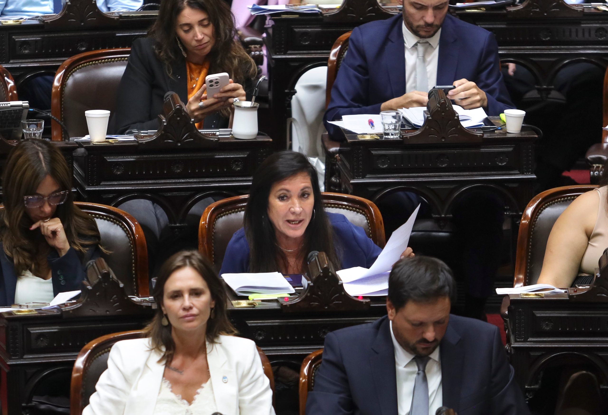 En el centro de la foto, la diputada nacional Laura Rodríguez Machado, elegida en Diputados como la encargada de la negociación por el tema discapacidad 