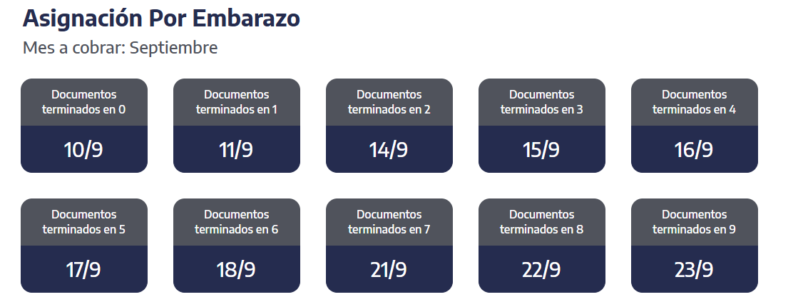 Quiénes reciben hoy la asignación por Embarazo (Foto: ANSES)