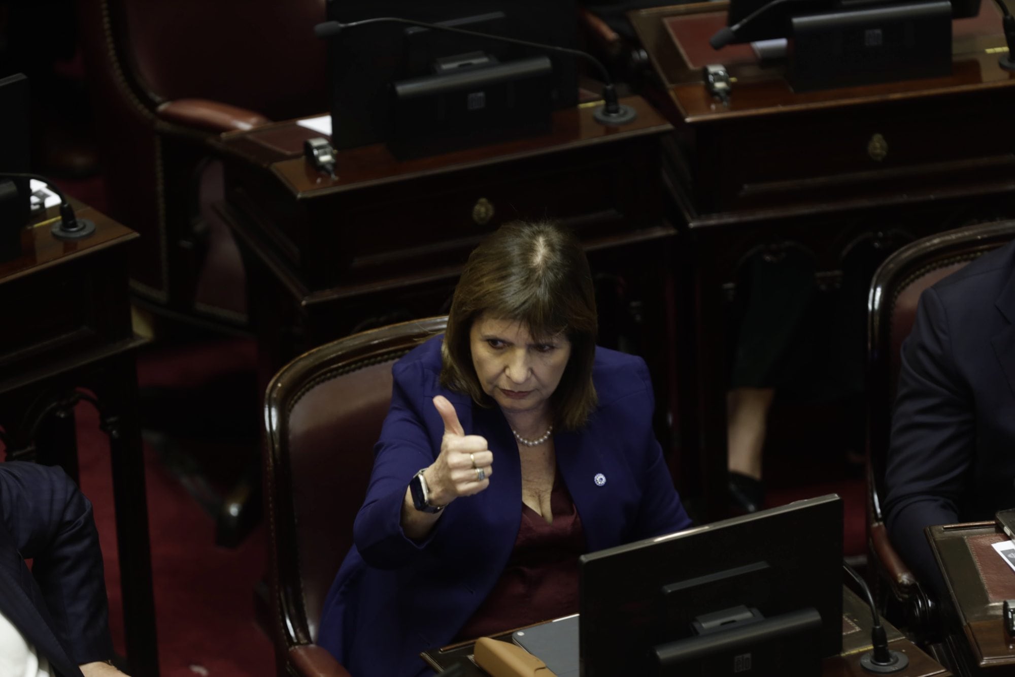 Patricia Bullrich durante la sesión Senado. Buenos Aires, Argentina, Miercoles, Septiembre 17, 2026 (La Nacion, Nicolas Suarez)