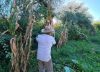 Tiene 67 y vive en soledad en el corazón del monte cordobés: “Hay que aprovechar la tierra para producir alimentos sanos para uno”