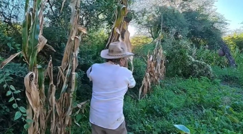 Tiene 67 y vive en soledad en el corazón del monte cordobés: “Hay que aprovechar la tierra para producir alimentos sanos para uno”