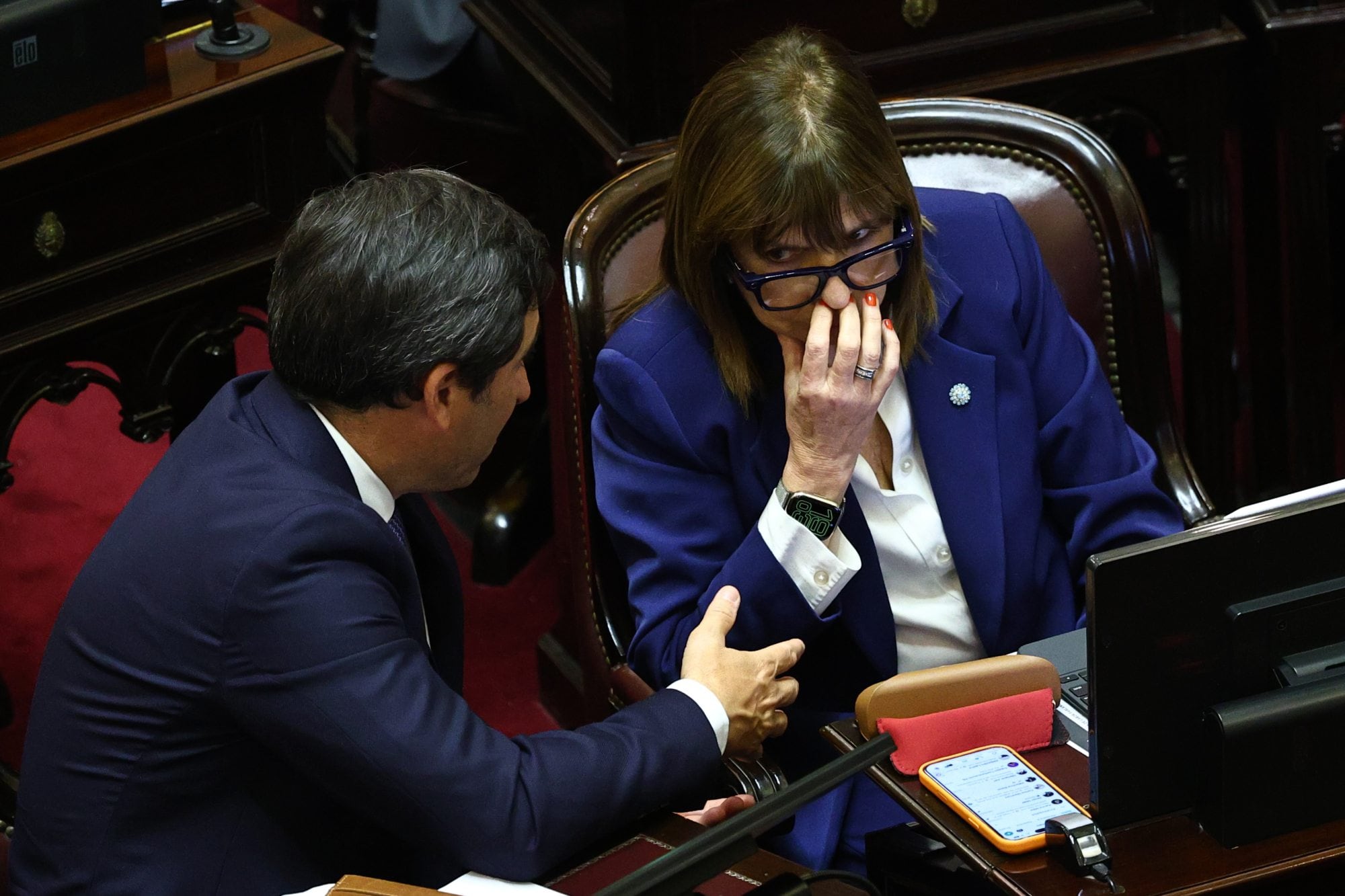 Intercambio entre el presidente del bloque del Pro, Enrique Martín Goerling Lara y la jefa del bloque libertario y ex Pro, Patricia Bullrich durante el debate del proyecto de grandes inversiones. El Senado trata los cambios a la ley de salud mental y un nuevo régimen de inversiones.