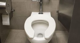 La curiosa razón de por qué algunos inodoros tienen el asiento abierto en forma de U