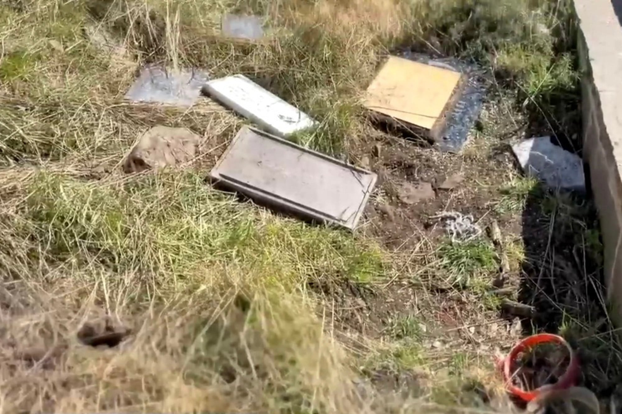 Malvinas