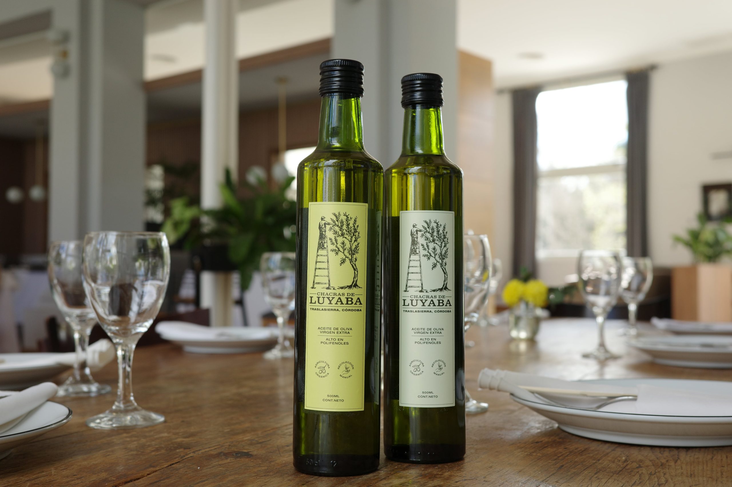 Los aceites de la finca fueron distinguidos en concursos internacionales como Olive Japan y Olivinus.