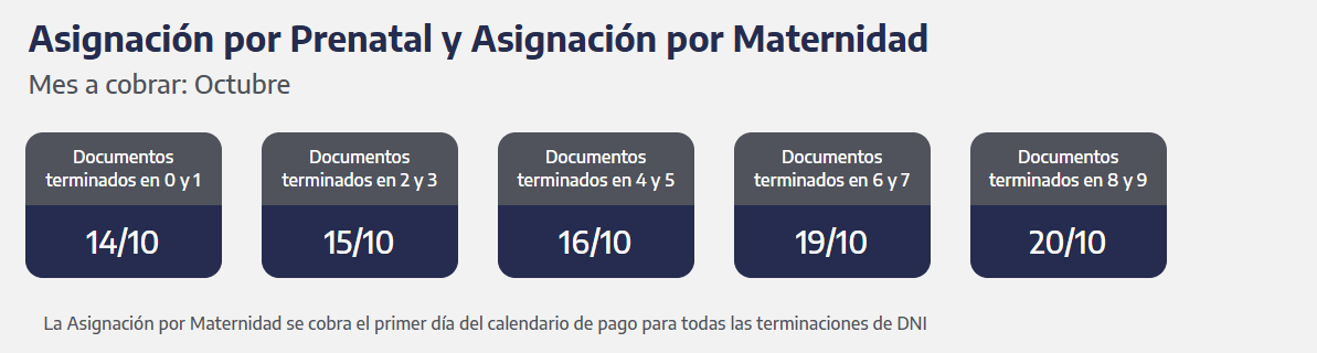 Quiénes cobran hoy la asignación por prenatal y maternidad (Foto: Captura ANSES)
