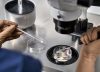 Un argentino fundador de cinco unicornios vendió su empresa de biotecnología por más de US$1380 millones
