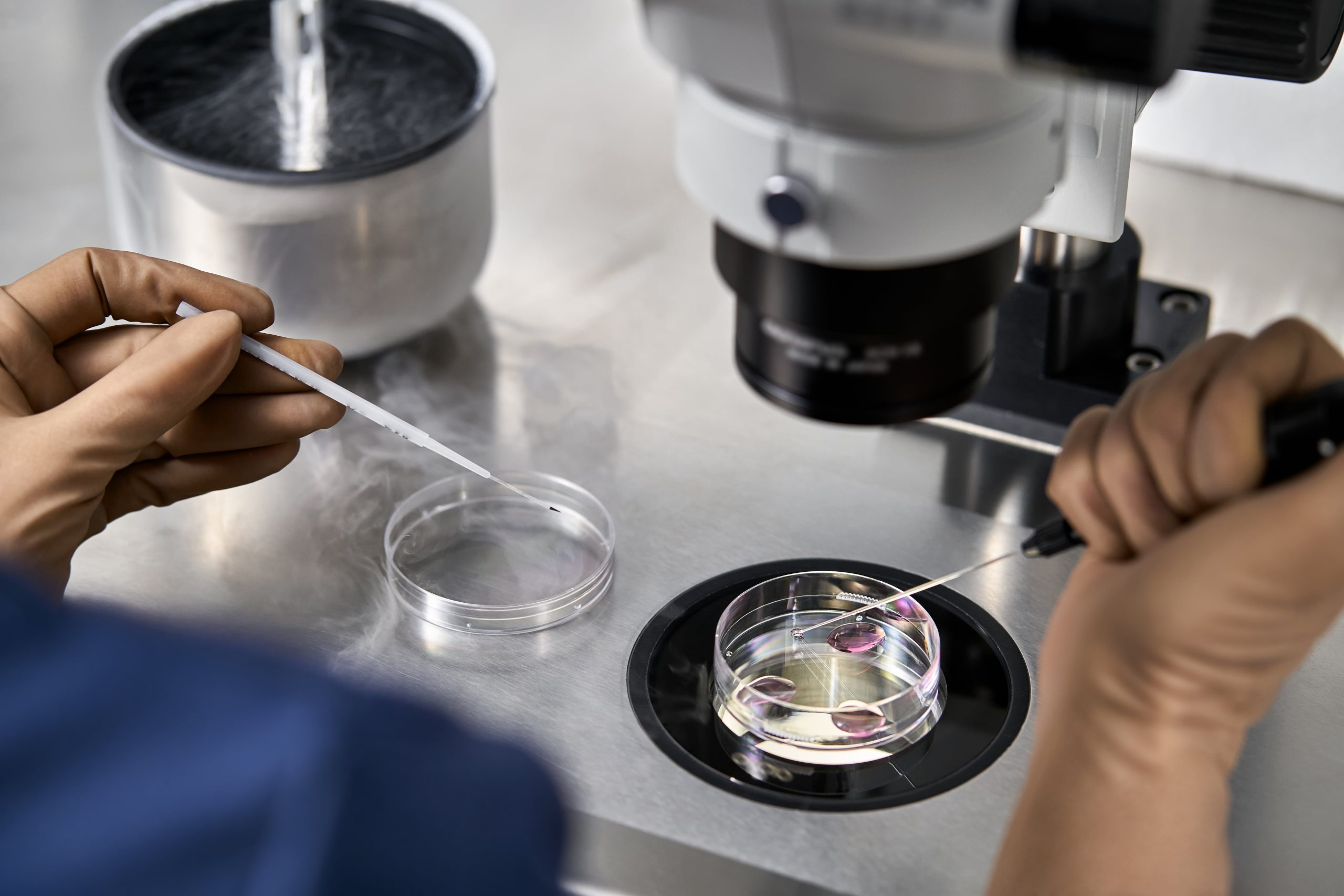 La biotecnología impulsa una nueva era para los tratamientos de fertilidad