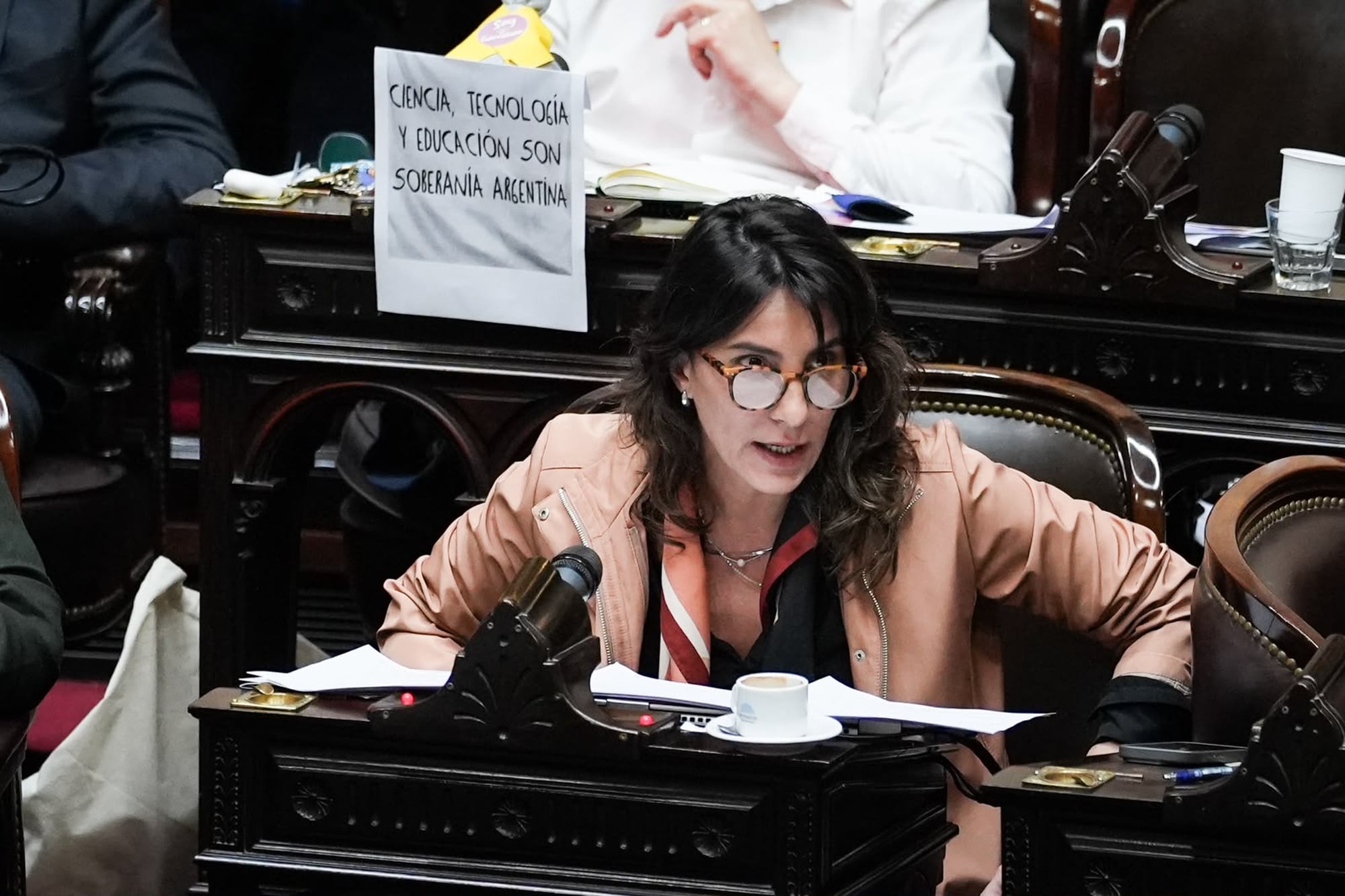 La diputada cordobesa Natalia de la Sota, una de las dirigentes preferidas de Massa