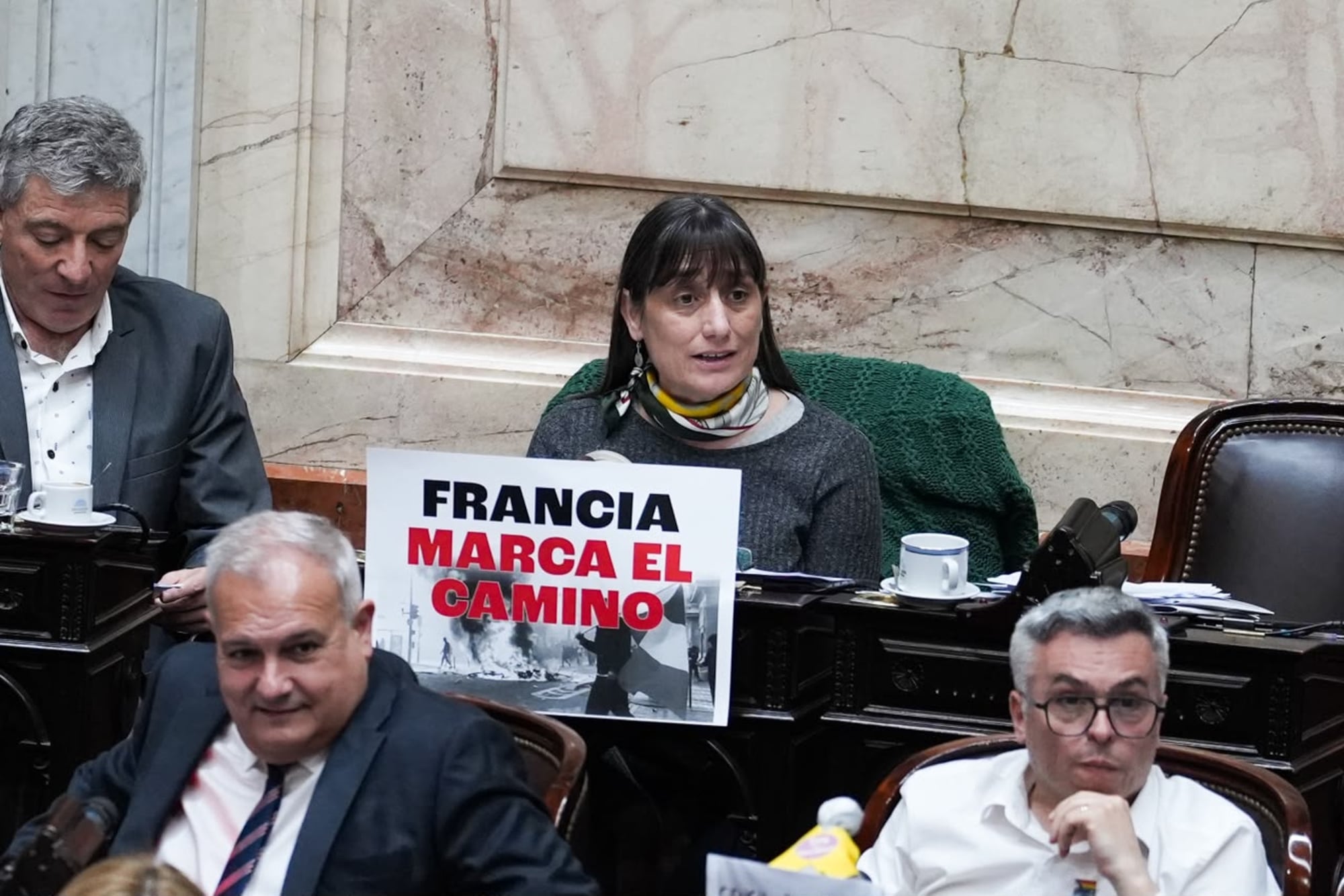 La legisladora Romina del Plá al momento de su exposición