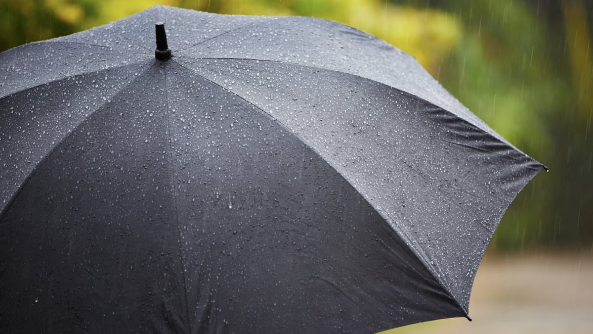 Un básico para la temporada de lluvias.