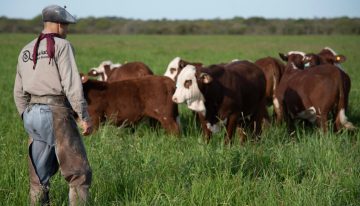 La pregunta que cambió todo: una familia se animó a un negocio que no tenía en sus planes con la carne y hoy llega a Suiza, Dubái, Estados Unidos e Israel