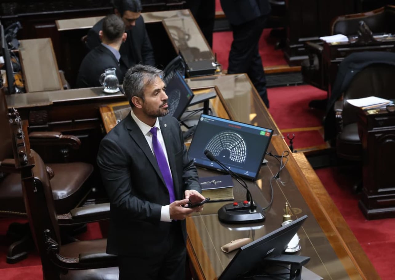 Sesión en el Diputados por Endeudamiento y discapacidad. Martín Menem