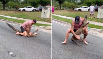 Luchador capturó con sus propias manos a caimán de más de dos metros