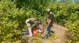 Carabineros incautó miles de dosis de drogas en Ñuble