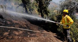 Conaf: Ha habido un 24% más de incendios que la temporada pasada