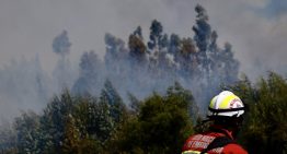 Alerta roja en Marchigüe por incendio forestal cercano a viviendas