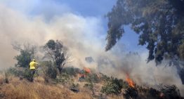 Cerro San Cristóbal: Brigadas combaten incendio forestal por tierra y aire