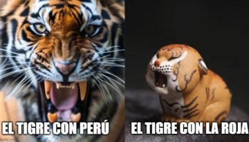 ¡Para reír en el final de año! Los mejores memes deportivos del 2024