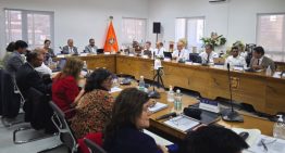 Cruch trabaja junto al Gobierno una nueva ley de acceso a las pedagogías