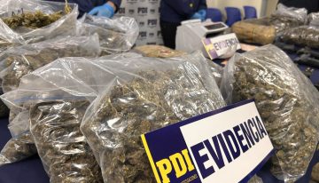 Desbaratan banda criminal transnacional dedicada al tráfico de drogas