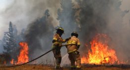 Gobierno: 70% de los incendios esta temporada son por negligencia y 23% son intencionales