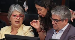 Reforma previsional: Gobierno espera su aprobación antes del receso legislativo