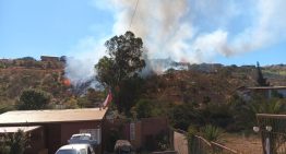 Detienen a presunto autor de incendio forestal en Villa Alemana