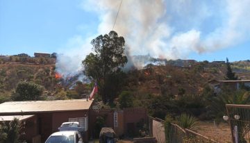 Detienen a presunto autor de incendio forestal en Villa Alemana