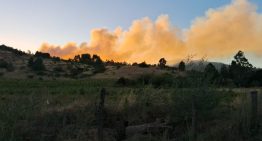 Al menos tres casas quemadas: Declaran alerta roja en Rancagua por incendio forestal