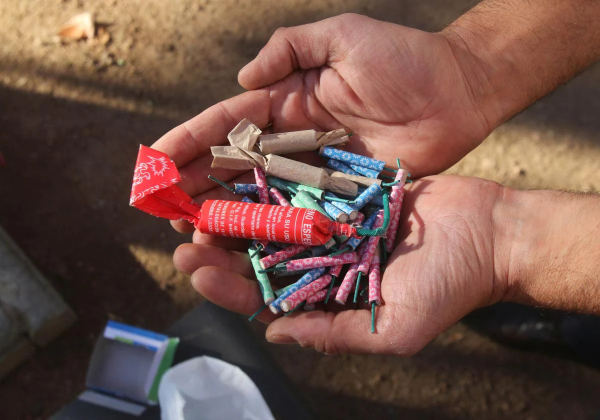 Cinco muertos en Alemania por el uso de material pirotécnico en las celebraciones de Año Nuevo