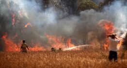 Las 11 comunas de La Araucanía que tendrán toque de queda por incendios forestales