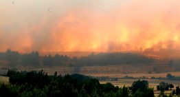 Incendios forestales: Se levanta toque de queda en La Araucanía