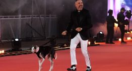 Gala de Viña 2025: José Antonio Neme sacó aplausos al desfilar junto a su perro