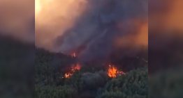 Alarma por incendios forestales en tres comunas de La Araucanía