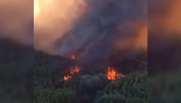 Alarma por incendios forestales en tres comunas de La Araucanía